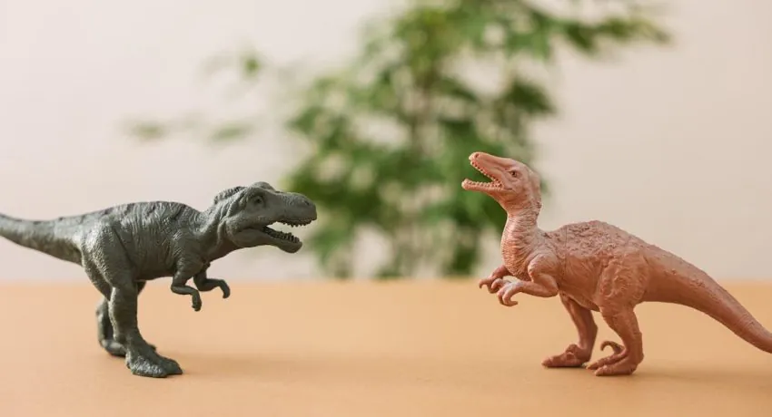 image_683a63ebbd89c5.43191431-1 image_683a63ebbd89c5.43191431-1