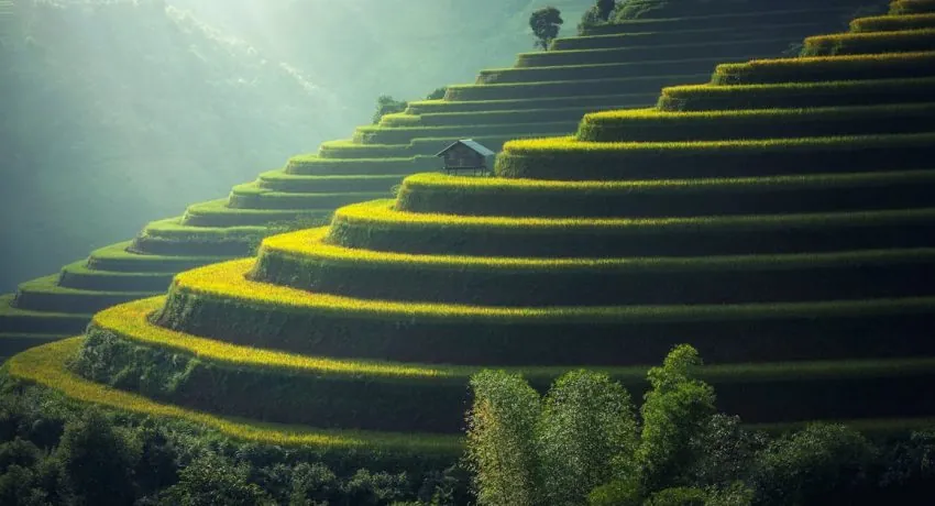 image_683a63fb9ceee8.15286926-1 image_683a63fb9ceee8.15286926-1